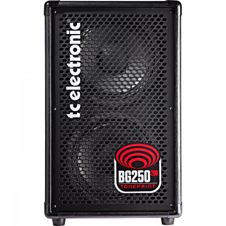 TC Electronic BG250 208 bass combo